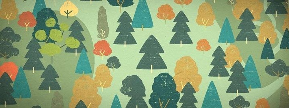 Wilde Möhre Festival 2025