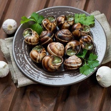 Les Escargots du Lipo