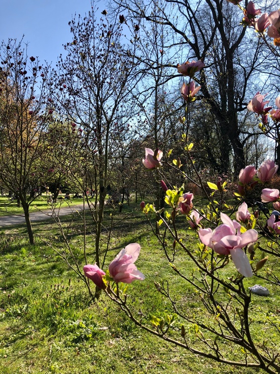 may kollektiv: zwischen den wegen