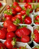 Erdbeer-Lang