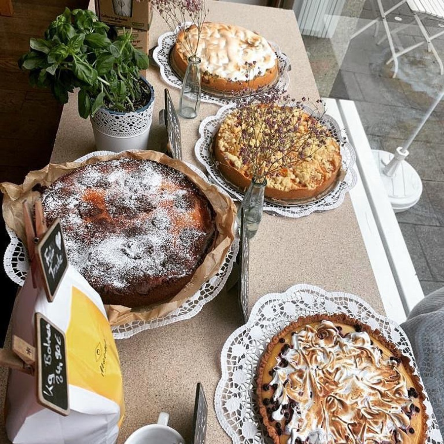 Lohner \u0026 Grobitsch