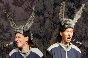 Die Bremer Stadtmusikanten