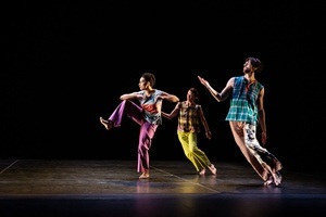 Trisha Brown Technique and Repertory: Working Title