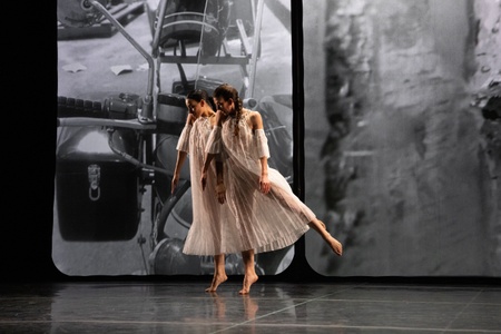 Trisha Brown Dance Company & Noé Soulier: Glacial Decoy / In the Fall / Working Title