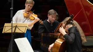 FAUST, BEZUIDENHOUT & VON DER GOLTZ