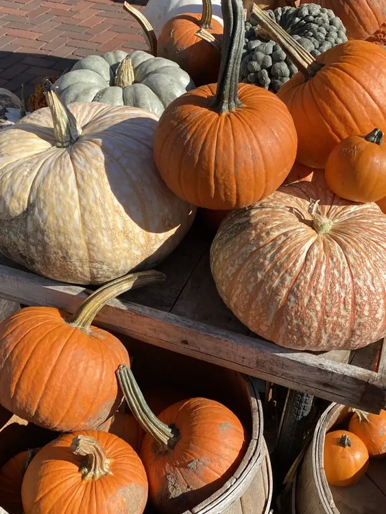 Herbstmarkt