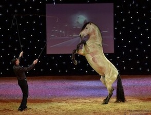 Christmas on Horse " Der magische Brunnen"