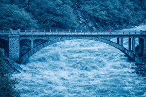 Architecture of Trust