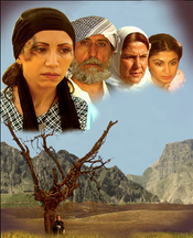Bekhal's Tears