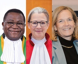 Blaise Tchikaya, Ann-Katrin Kaufhold & Anja Seibert-Fohr