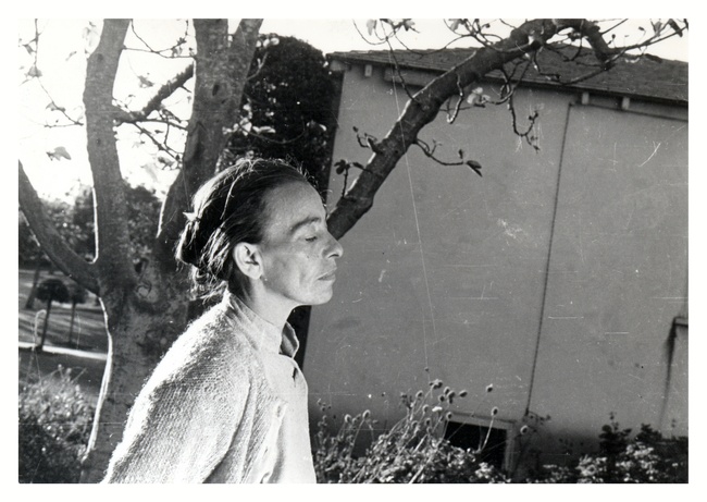 41. DOK.fest München