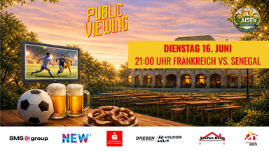 Public Viewing FRA vs SEN