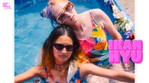 Ikan Hyu - Swim With Sharks Tour 2026