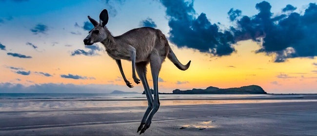 Reise-Vortrag: Australien