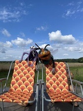 Mücke macht Picknick