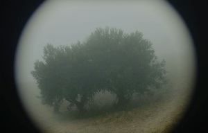 ALFILM Festival: Why Do I See You In Everything?