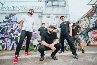 ZEBRAHEAD