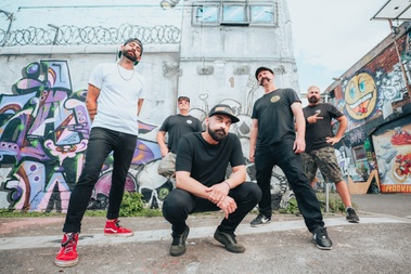 ZEBRAHEAD