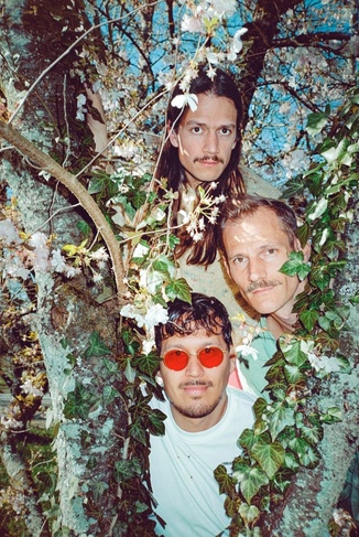 Löwenzahnhonig (CH) + Ehekrach