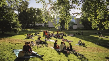 Park Sounds 5