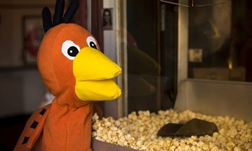 Spatzenkino