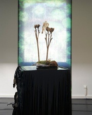 BLITZ w/ Bashkka, Kerrie, livwutang, Polygonia, Sandrien, Steffi, Virginia.