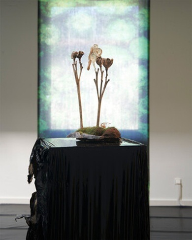 BLITZ w/ Bashkka, Kerrie, livwutang, Polygonia, Sandrien, Steffi, Virginia.