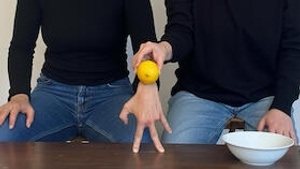 Nach Zitrone schmeckt die Welt