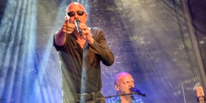 die feisten - Moskito