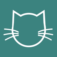 Katze mit Hut
