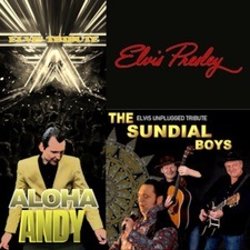 The Sundial Boys - Elvis Unplugged Tribute + Sentimental Songs from The King Elvis Presley