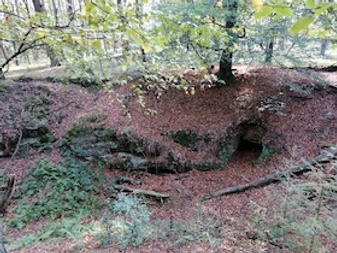 Wanderung: Sagenhafte Wanderung durch die Emmelkämper Mark