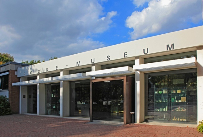 FOKUS POLEN - Kinoabend Im Focke