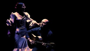 FLAMENCO STARS - DUAL