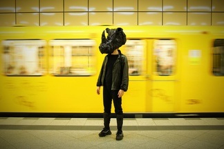 Rhinozeros – ein Comeback