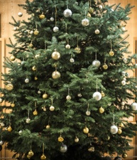 Wir warten aufs Christkind