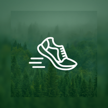 Community Run & Workshop mit Brooks: Bereit für deinen Marathon