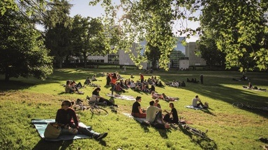 Park Sounds 2