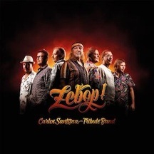 Zebop- Carlos Santana Tribute Band