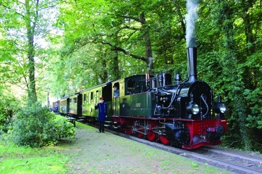 Steampunk meets Steamtrain (Dampfzug) (Hin- und Rückfahrt)
