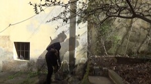 You and I Have Seen the Garden from That Cold Sullen Crack