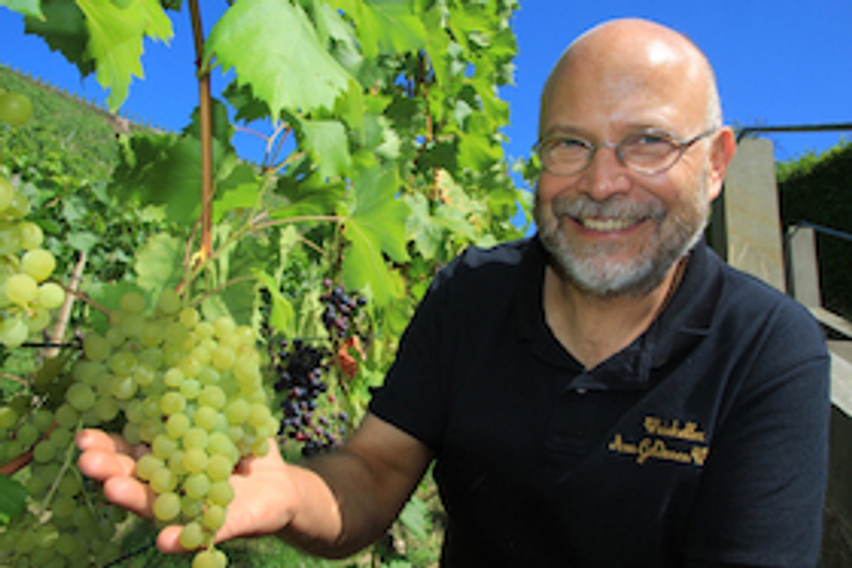 Kleine Weinbergwanderung