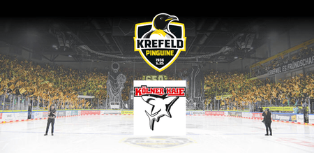 Krefeld Pinguine vs. Kölner Haie - Spieltag 13