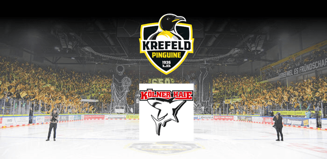 Krefeld Pinguine vs. Kölner Haie - Spieltag 13