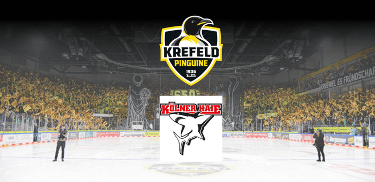 Titelbild der Veranstaltung Krefeld Pinguine vs. Kölner Haie - Spieltag 13
