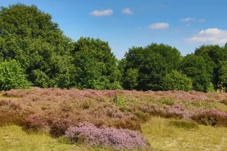 Führung: Wanderung um den Egelsberg