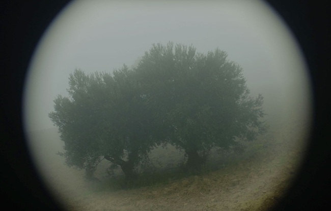 Why Do I See You In Everything?