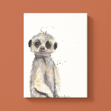 Erdmännchen
