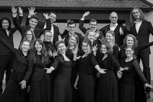 „Stimmen & Pfeifen“