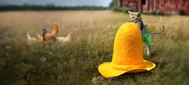 Pettersson und Findus und der Hahn im Korb